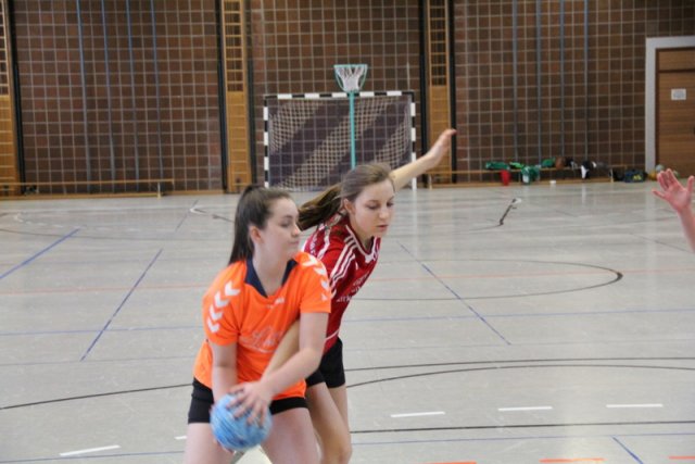 2017_01_08 Landesliga Frauen u. J19